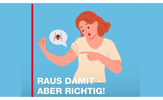 Zeichnung 2